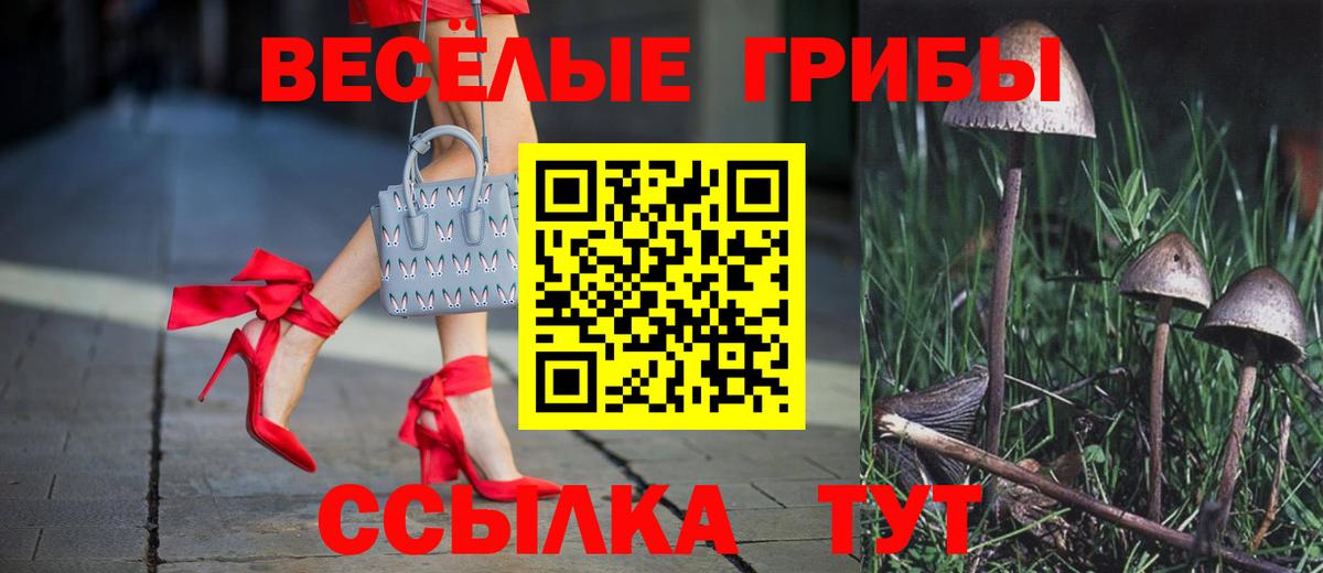 Псилоцибиновые грибы MAGIC MUSHROOMS Миллерово